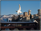 foto Lungo il Fiume Brenta